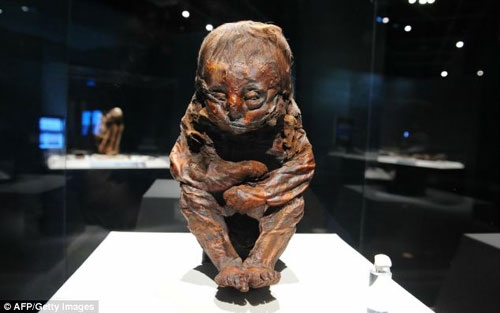 这具名为“代特莫尔德孩童”的木乃伊保存极为完好，年代可追溯至公元前4504年至4457年